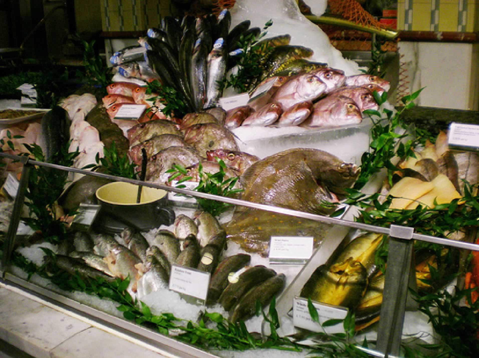 Fish display 1